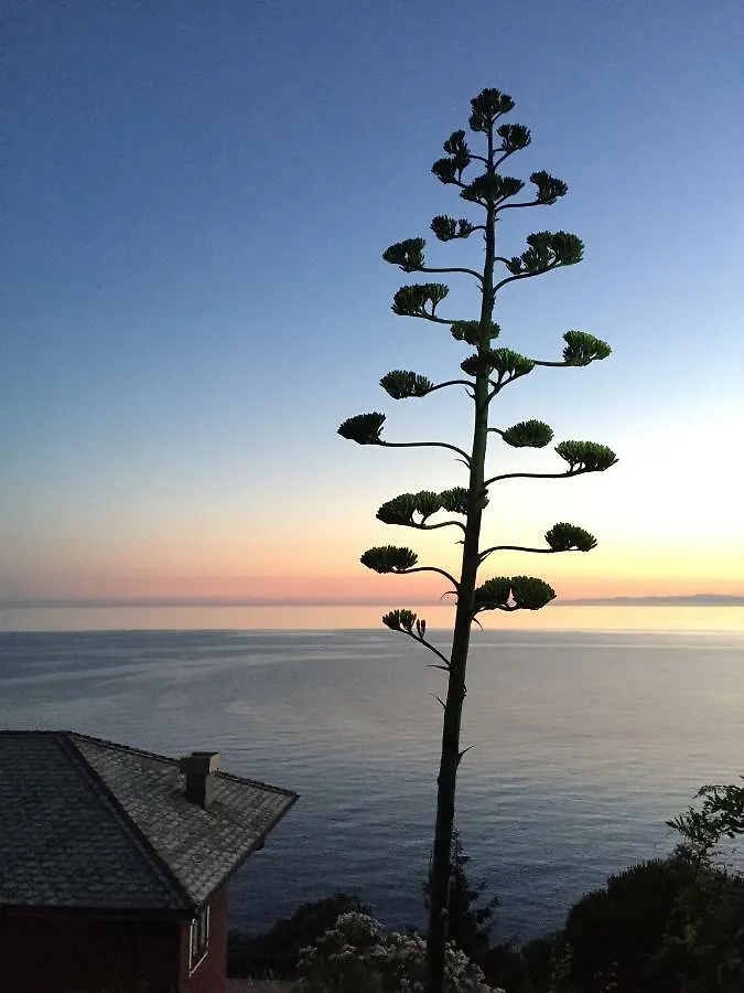 CASA VACANZE MONEGLIA 2 CAMERE con TERRAZZA nel VERDE 0*,
